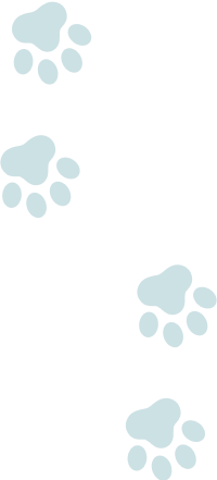 肉球のアイコン